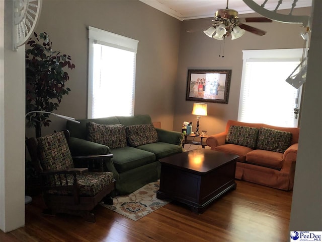 living room featuring hardwood / wood-style flooring, a wealth of natural light, ornamental molding, and ceiling fan