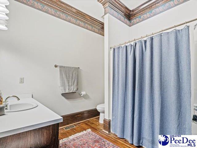 bathroom featuring vanity, hardwood / wood-style floors, and toilet