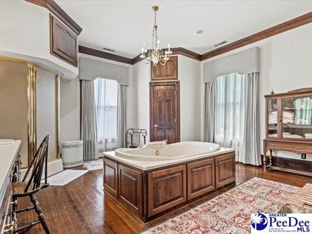 bathroom with crown molding, a healthy amount of sunlight, and hardwood / wood-style floors