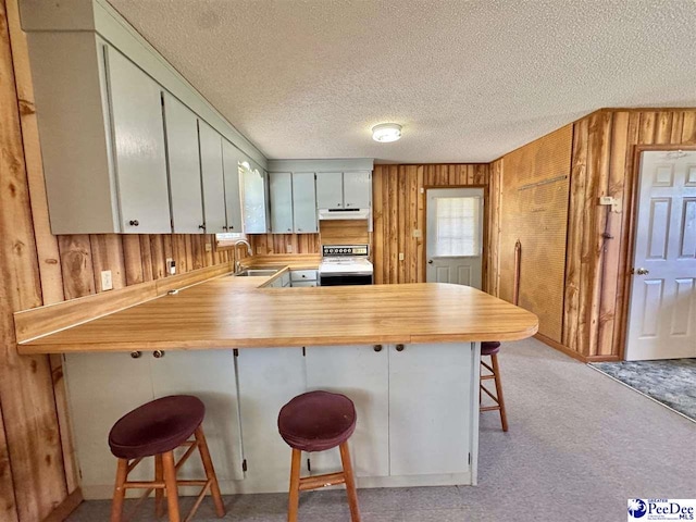 kitchen with a sink, range, wood walls, a kitchen bar, and under cabinet range hood