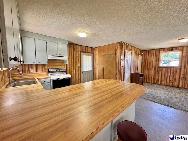 kitchen with wood walls, electric range, under cabinet range hood, a sink, and wood counters