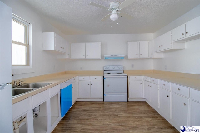 kitchen featuring white appliances, a sink, under cabinet range hood, and a textured ceiling