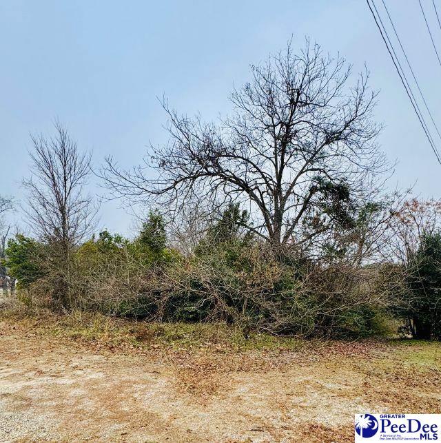 Listing photo 3 for Ball Park St, Bennettsville SC 29512