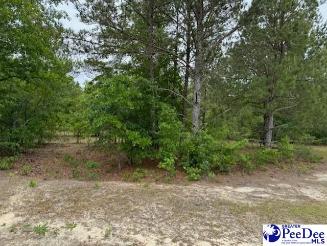 Meadow View Dr, Hartsville, SC 29550
