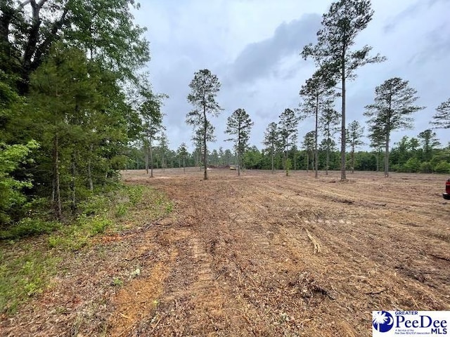 TBD E Old Marion Hwy, Florence SC, 29506 land for sale