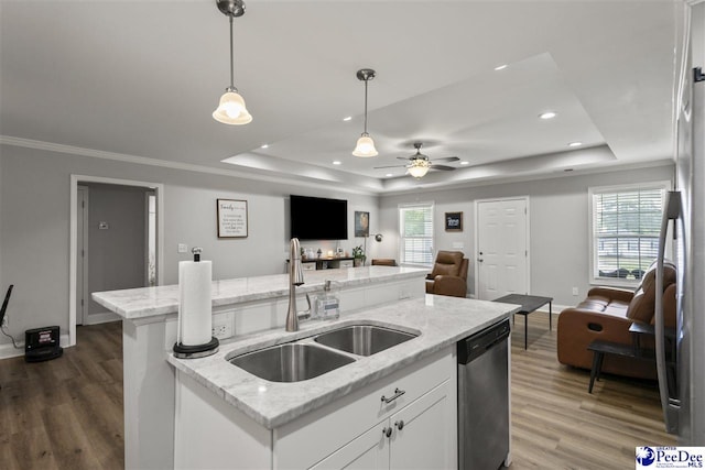 515 Young St, Darlington, SC 29532 - kitchen with a raised ceiling, a sink, stainless steel dishwasher, open floor plan, and recessed lighting