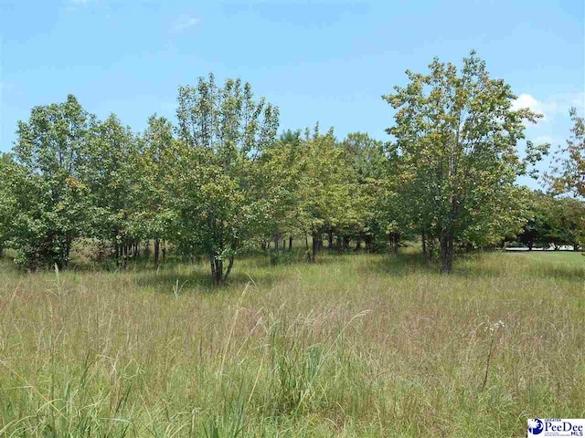 4027 Southborough Rd, Florence SC, 29501 land for sale