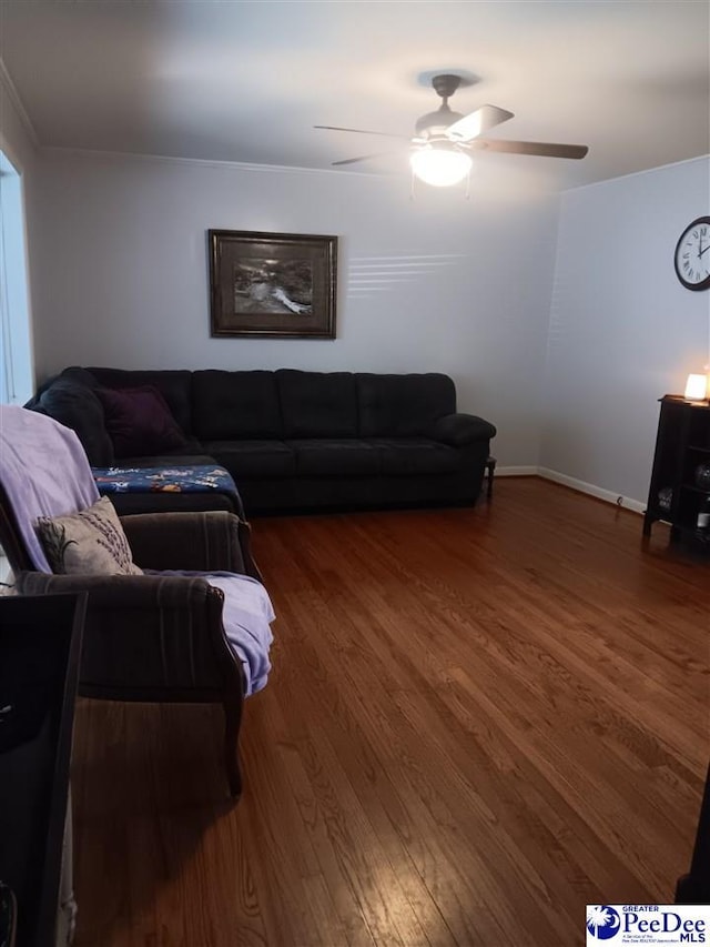 509 Haven Dr, Hartsville, SC 29550 - photo 3