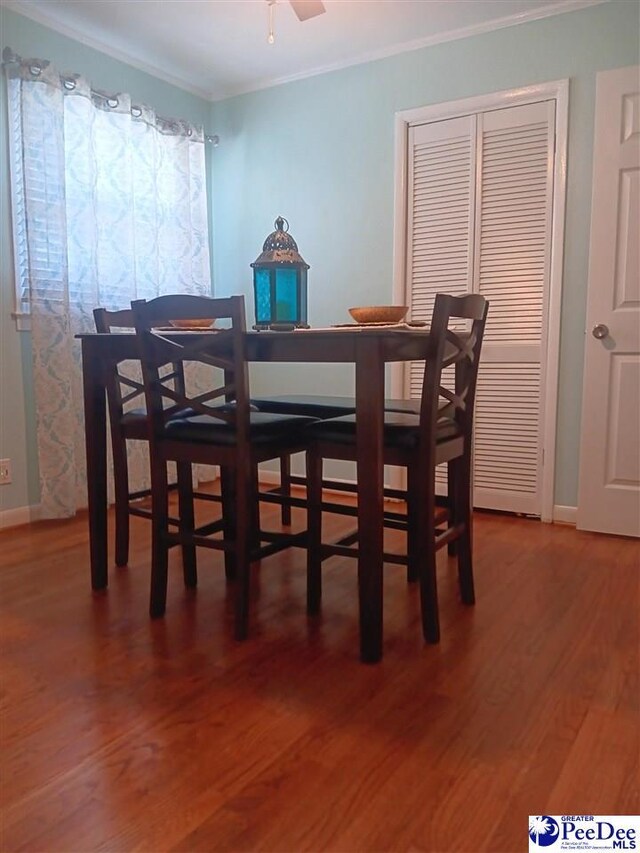 509 Haven Dr, Hartsville, SC 29550 - photo 11