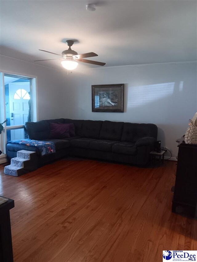 509 Haven Dr, Hartsville, SC 29550 - photo 4