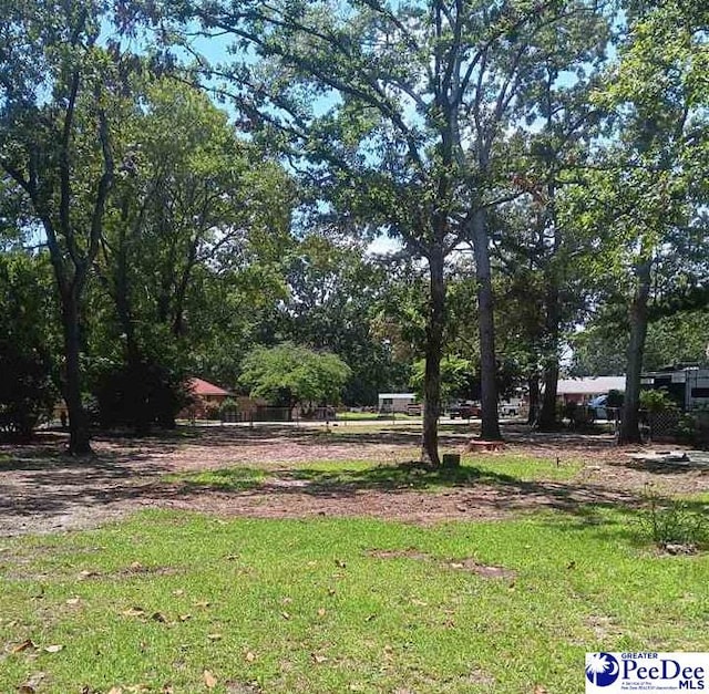 509 Haven Dr, Hartsville, SC 29550 - photo 25