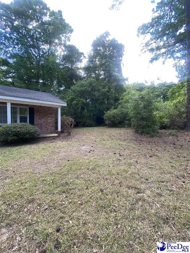 112 Williamson Pl, Darlington, SC 29532 - view of yard