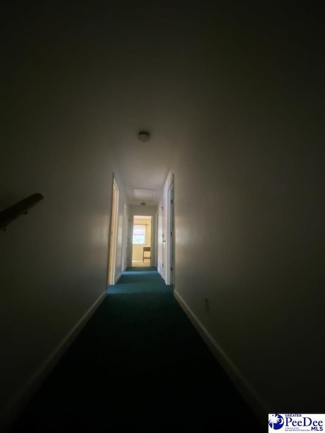 112 Williamson Pl, Darlington, SC 29532 - hallway featuring baseboards and carpet flooring
