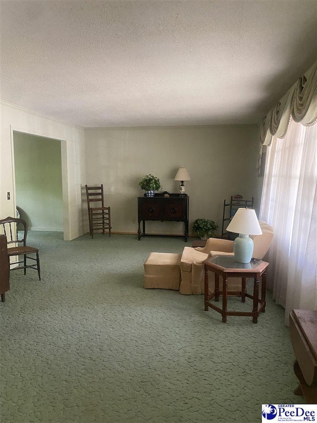 112 Williamson Pl, Darlington, SC 29532 - living area with carpet and a textured ceiling