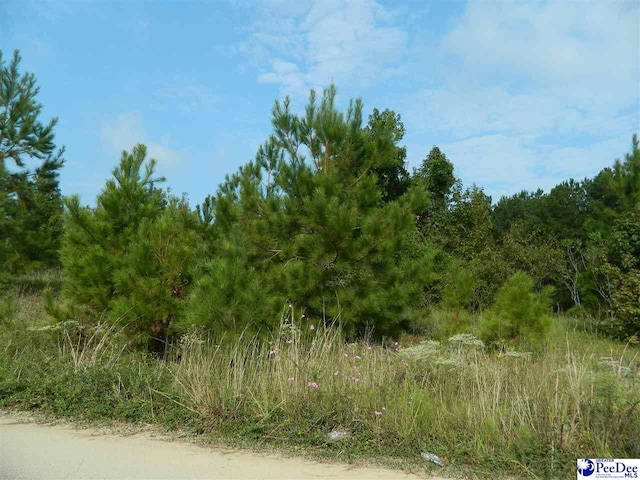 3610 Gable Ter, Florence SC, 29505 land for sale