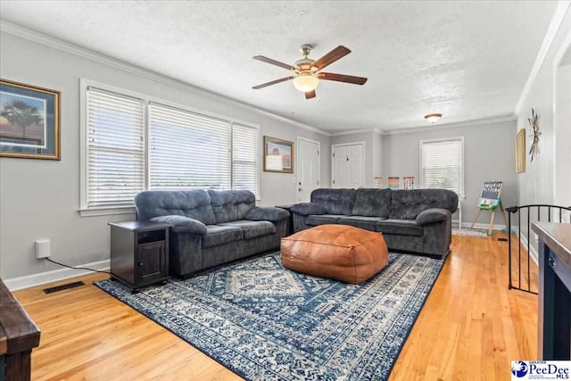 3900 Claussen Rd, Florence, SC 29505 - living room with a ceiling fan, light wood-style floors, ornamental molding, and a textured ceiling