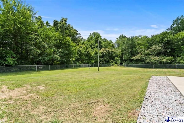 3900 Claussen Rd, Florence, SC 29505 - view of yard