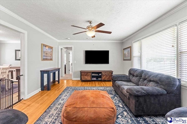 3900 Claussen Rd, Florence, SC 29505 - living area with light wood finished floors, a ceiling fan, a textured ceiling, and ornamental molding