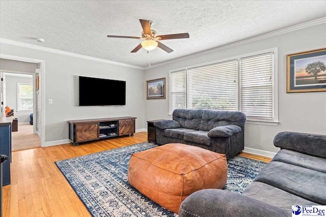 3900 Claussen Rd, Florence, SC 29505 - living area featuring ceiling fan, light wood finished floors, a textured ceiling, and crown molding