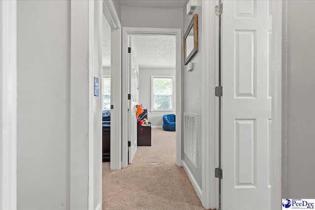 3900 Claussen Rd, Florence, SC 29505 - corridor featuring carpet flooring and a textured ceiling