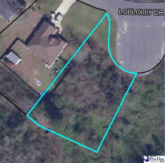 1402 Loblolly Dr, Manning SC, 29102 land for sale