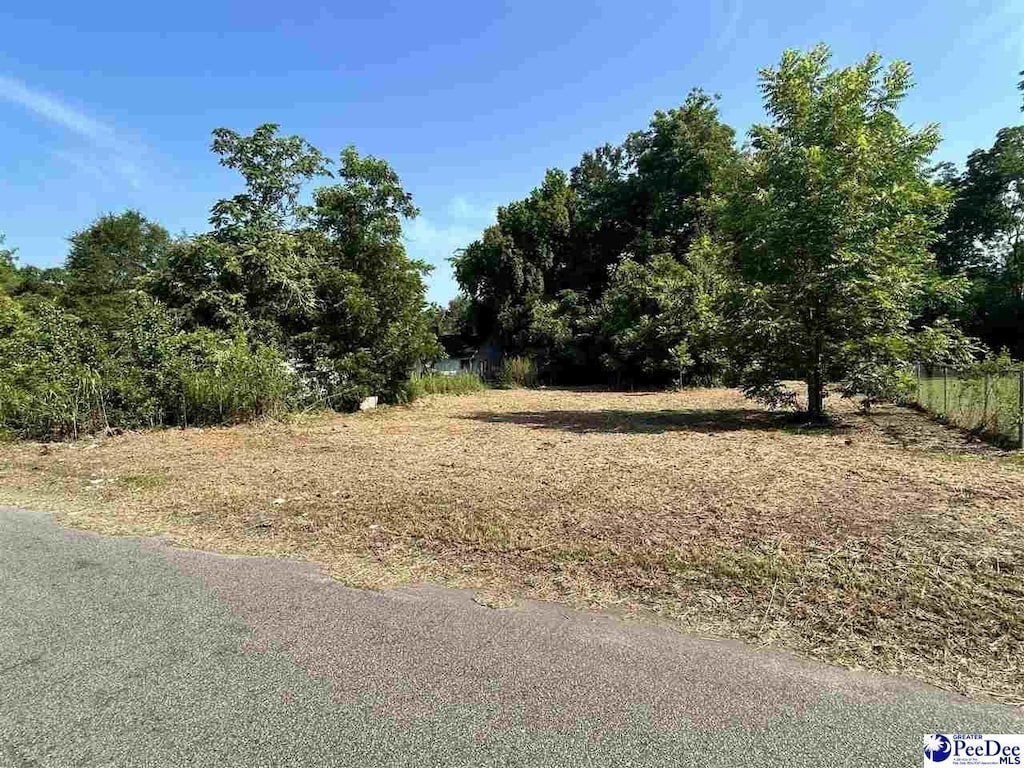 363 W Marion St, Florence, SC 29501 - photo 3
