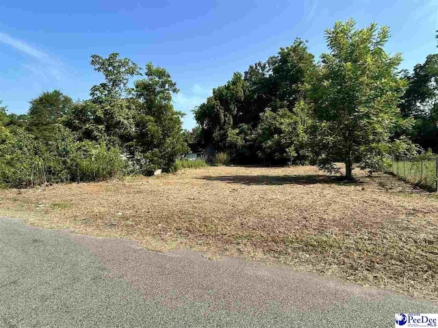 363 W Marion St, Florence, SC 29501 - photo 3