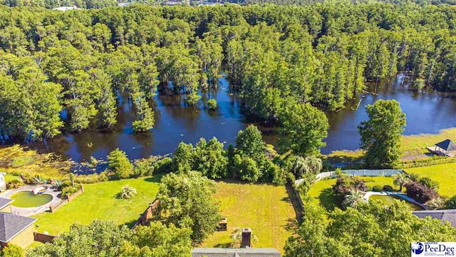 400 Millstone Rd, Florence, SC 29505 - bird's eye view of a large body of water and a forest