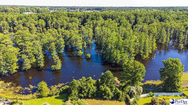 400 Millstone Rd, Florence, SC 29505 - drone / aerial view of a large body of water and a heavily wooded area