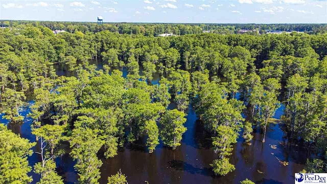 400 Millstone Rd, Florence, SC 29505 - drone / aerial view of a heavily wooded area and a large body of water