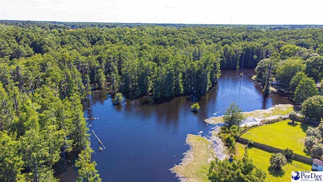 400 Millstone Rd, Florence, SC 29505 - aerial view of a nearby body of water and a forest
