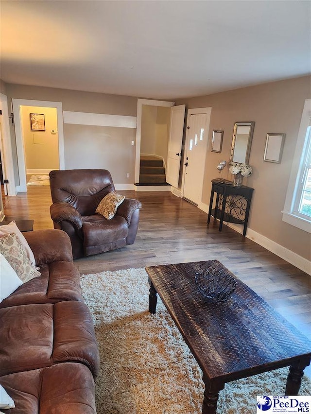 living room featuring wood-type flooring