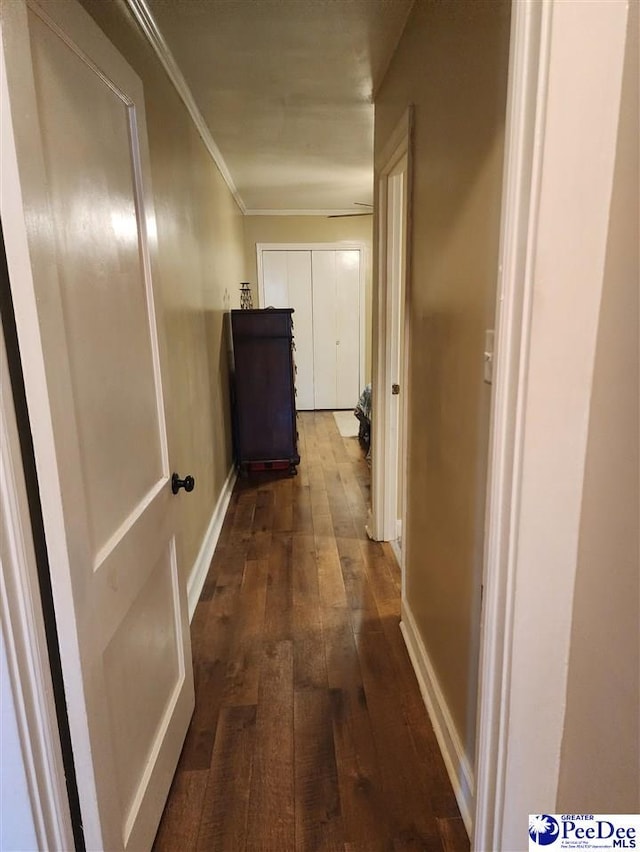 hallway featuring ornamental molding and dark hardwood / wood-style floors