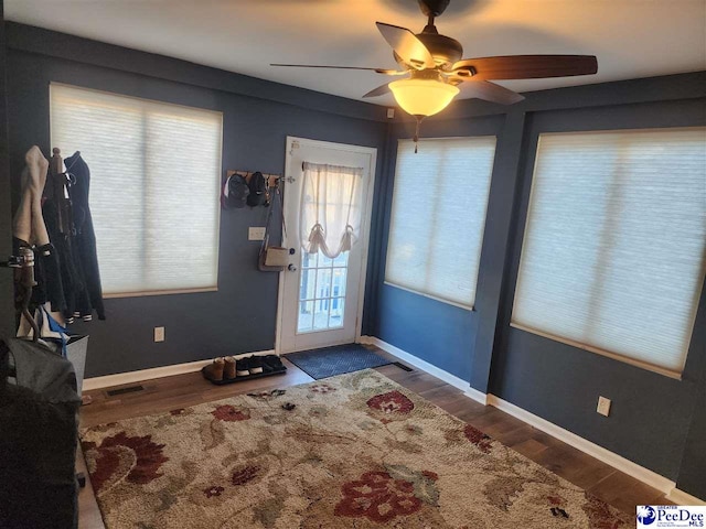 foyer with wood-type flooring