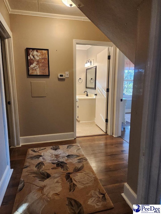 hall featuring crown molding, sink, and dark hardwood / wood-style flooring