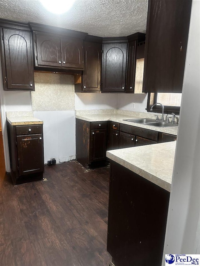 kitchen with dark wood-style floors, light countertops, a sink, a textured ceiling, and dark brown cabinetry