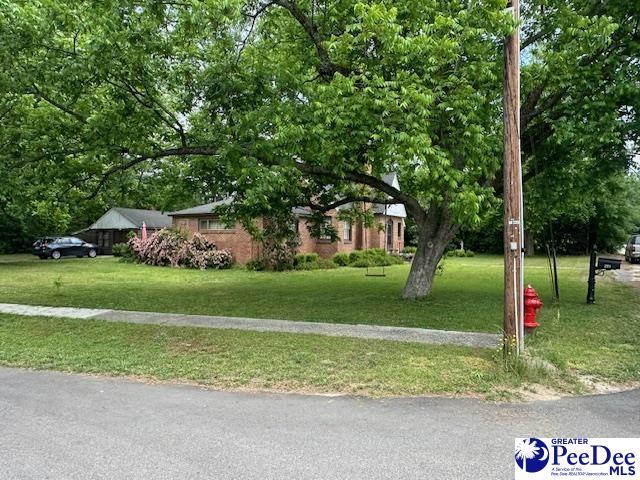 view of property hidden behind natural elements with a front yard