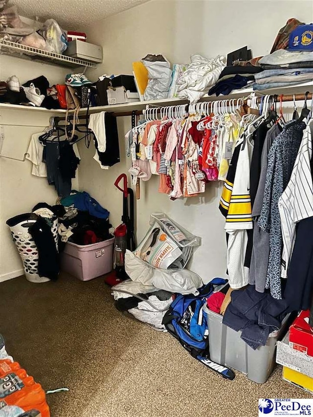 spacious closet featuring carpet floors