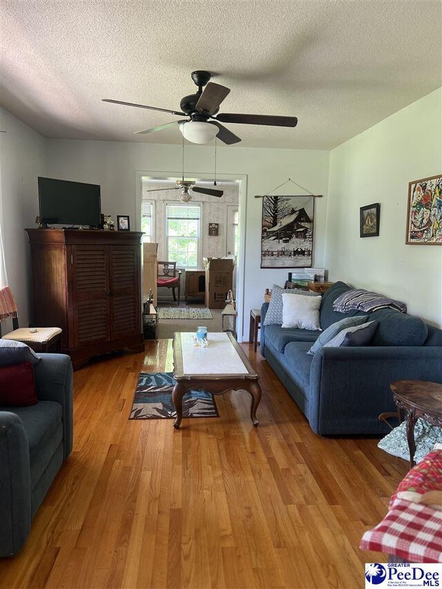702 Richard Temple Blvd, Lake View, SC 29563 - photo 4