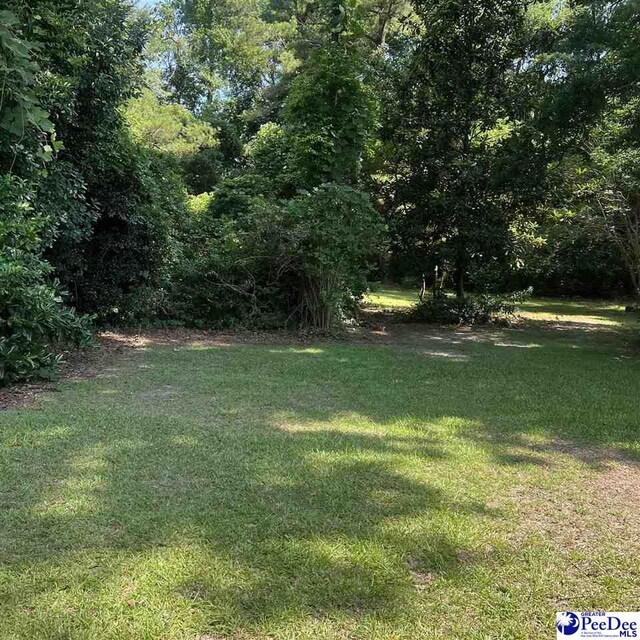 702 Richard Temple Blvd, Lake View, SC 29563 - photo 16