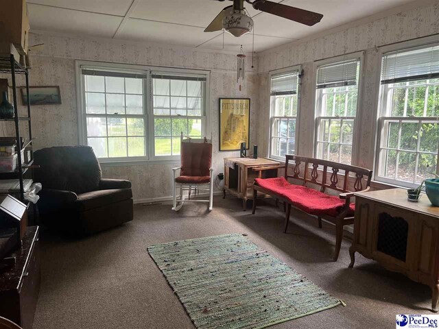 702 Richard Temple Blvd, Lake View, SC 29563 - photo 15