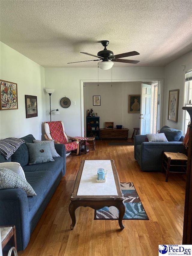 702 Richard Temple Blvd, Lake View, SC 29563 - photo 5