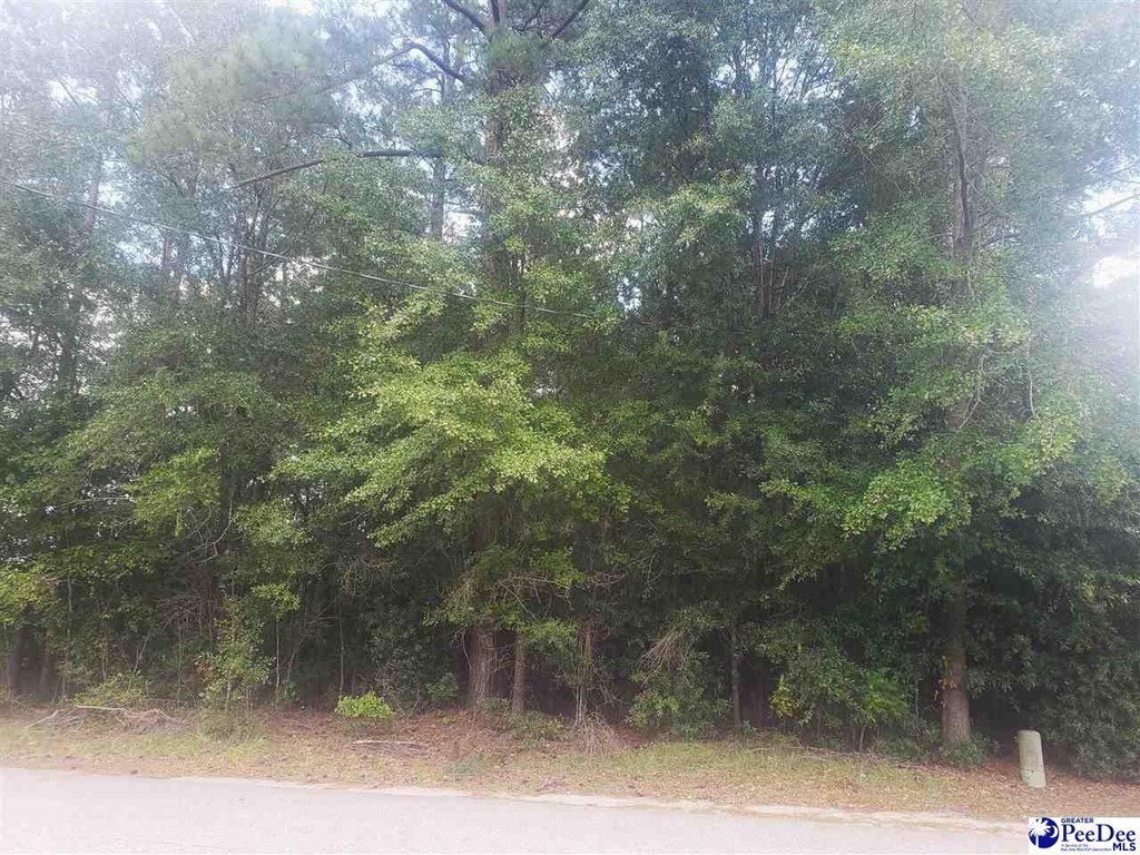 TBD Dogwood Ave, Darlington, SC 29532 - photo 1