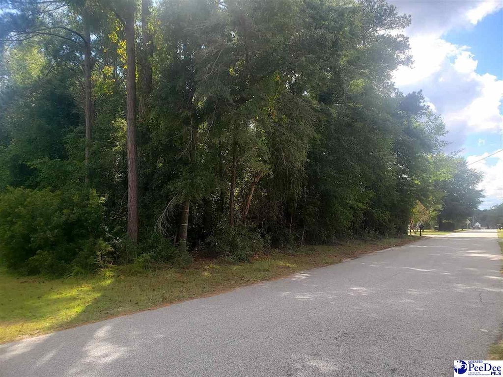 TBD Dogwood Ave, Darlington, SC 29532 - photo 3