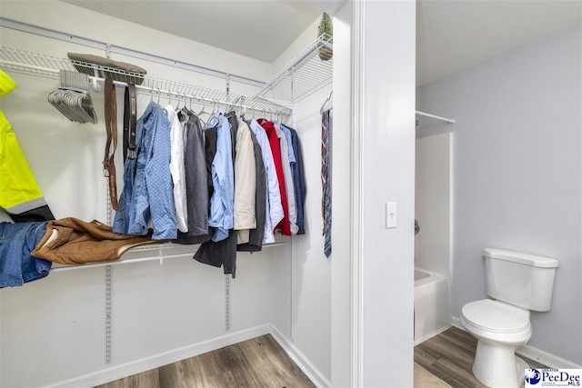 walk in closet featuring wood finished floors