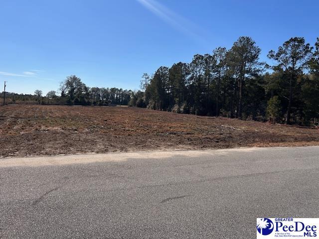 LOT5 Harmony Hall Rd, Darlington SC, 29532 land for sale