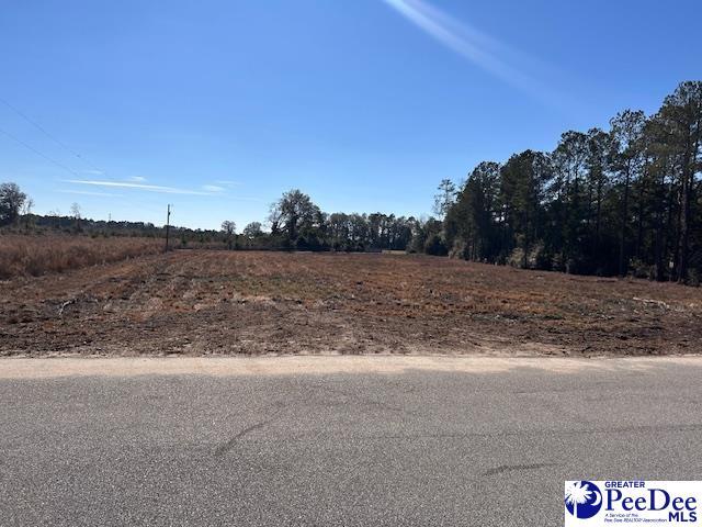 Listing photo 3 for LOT5 Harmony Hall Rd, Darlington SC 29532