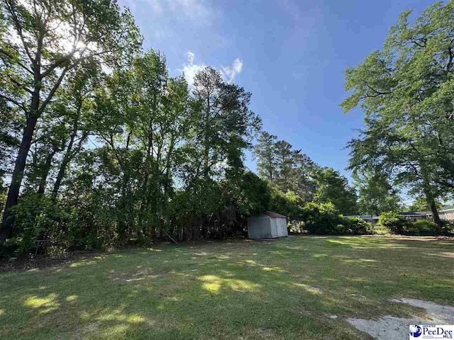143 Anderson St, Lake City, SC 29560 - photo 23