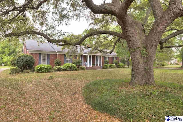 ranch-style house featuring a front yard and brick siding