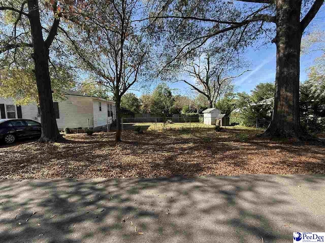 view of yard with a storage shed